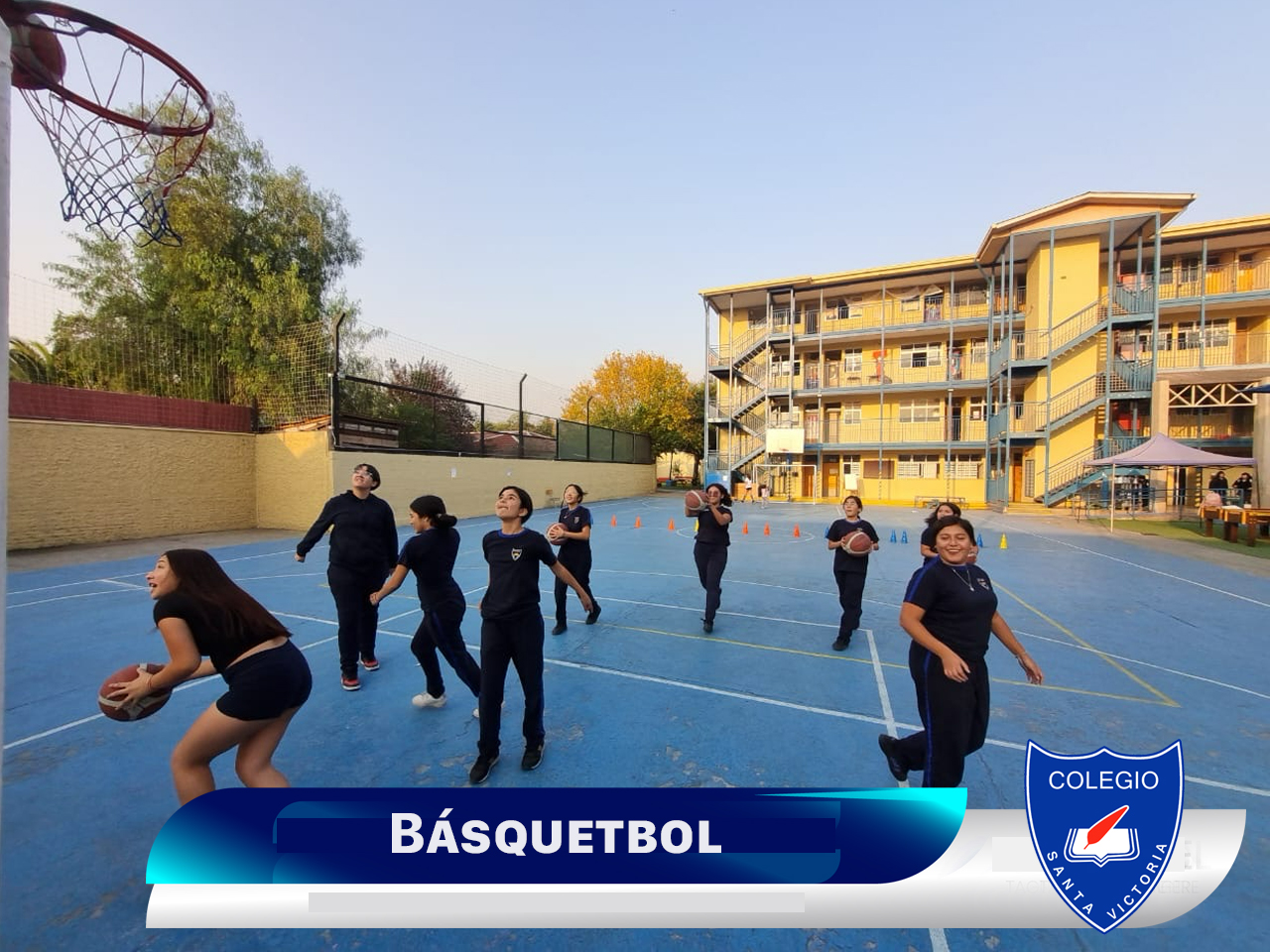 basquet basquet