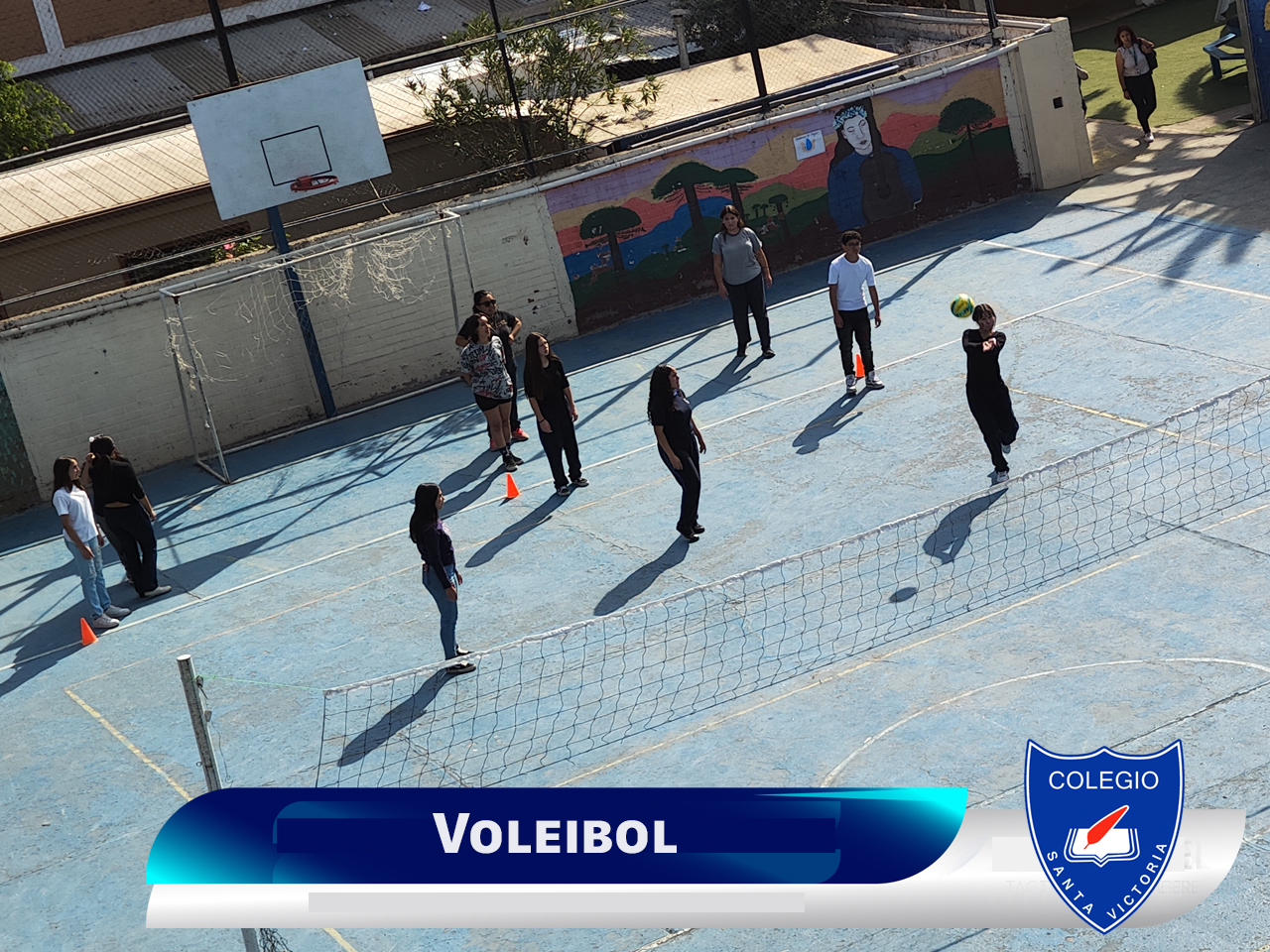 volei volei