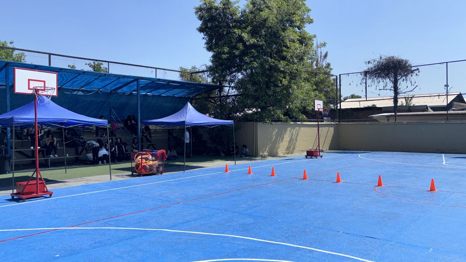 WhatsApp Image 2025-10-13 at 21.11.20