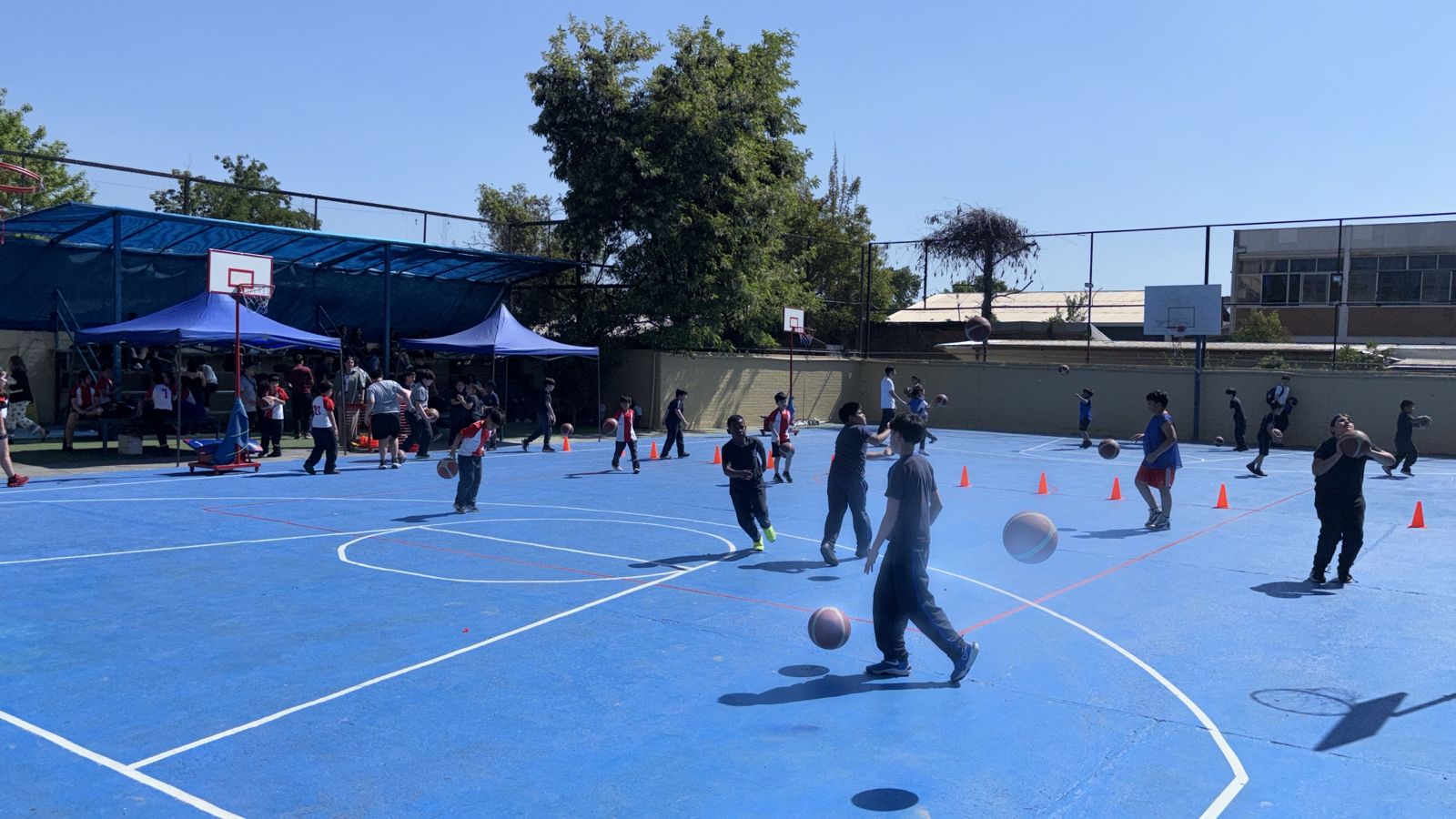 WhatsApp Image 2025-10-13 at 21.11.21 (2)